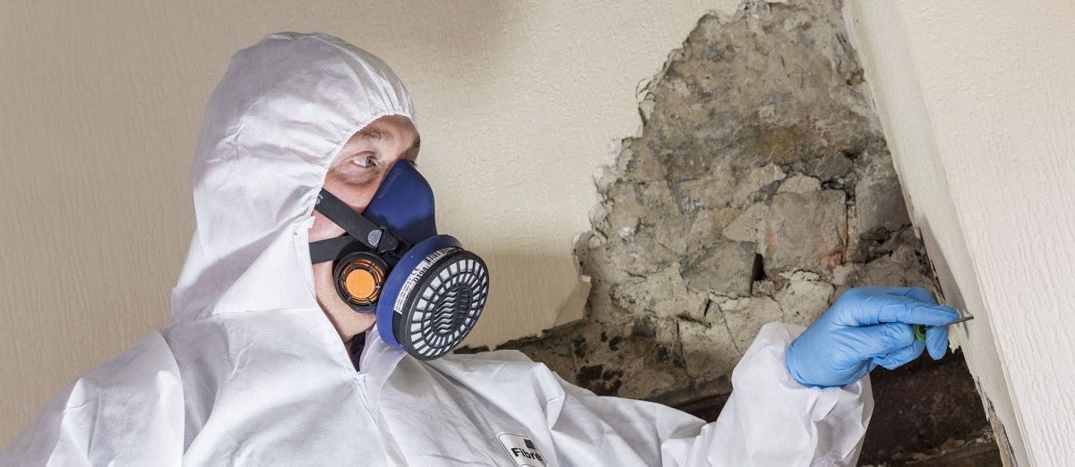 asbestos testing hamilton