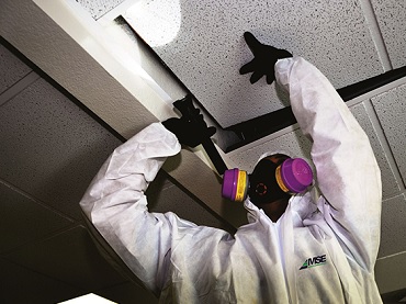 asbestos testing hamilton