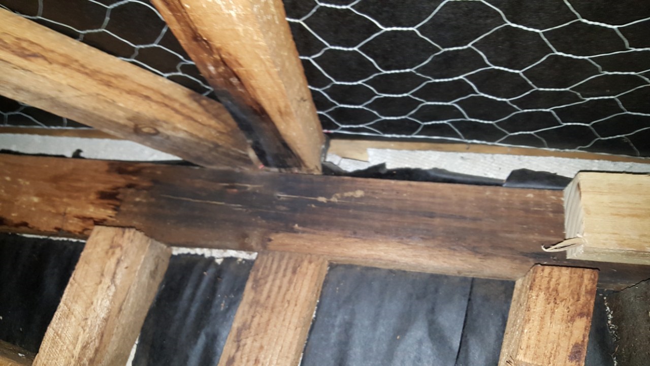 Pre sale House inspection