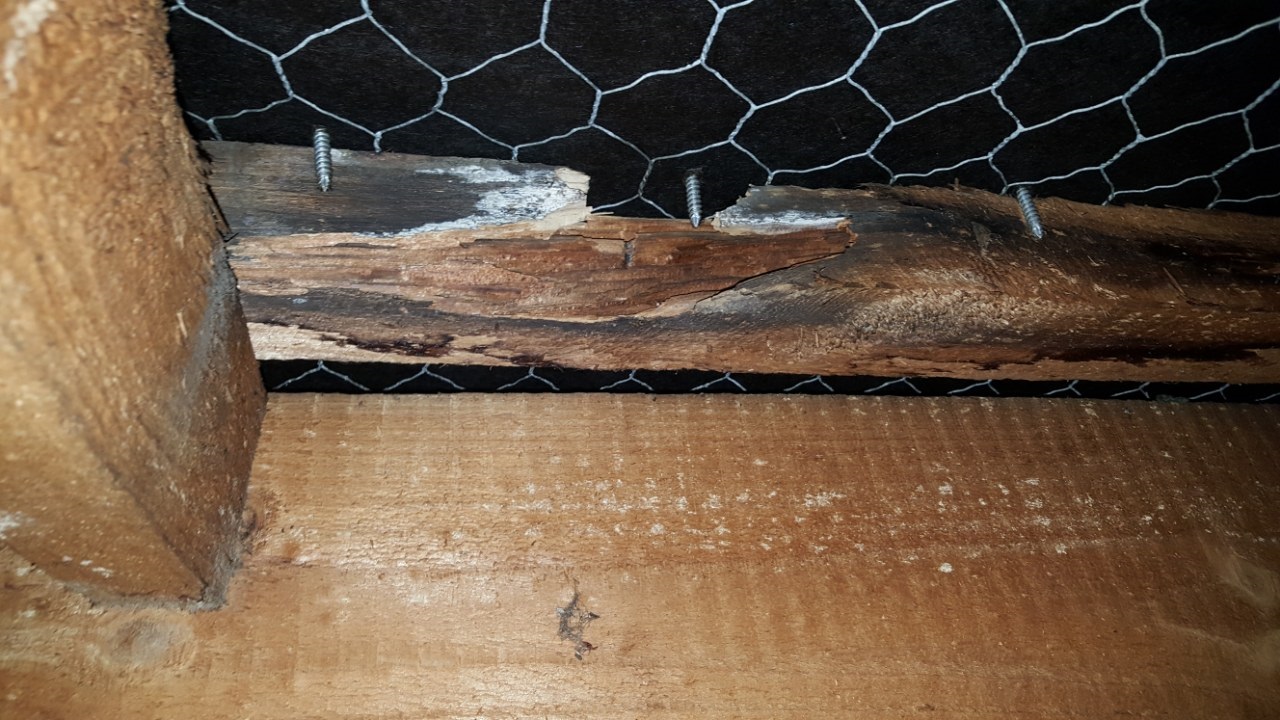 Pre sale House inspection